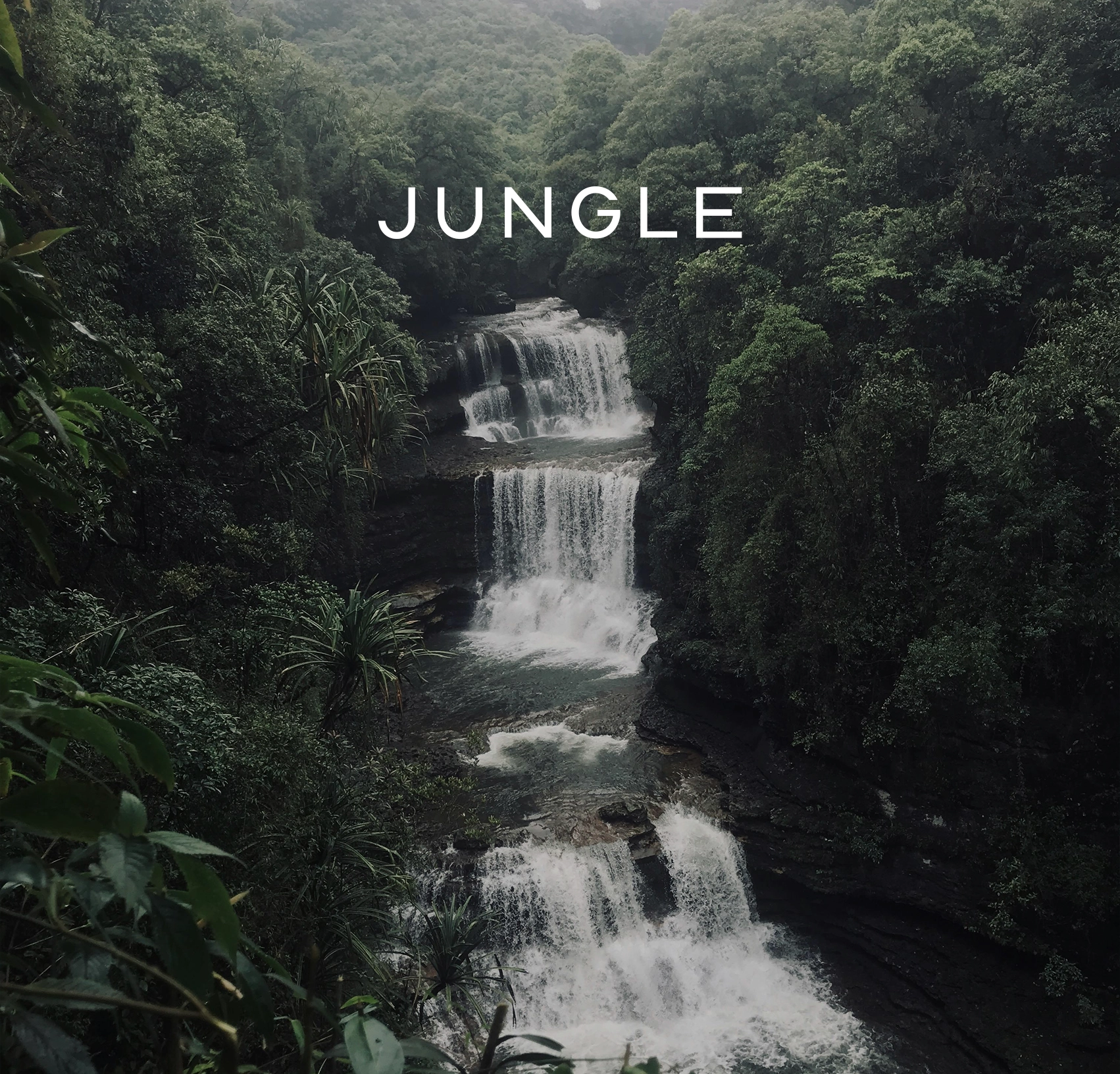 JUNGLE